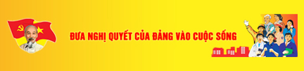 Liên kết Website
